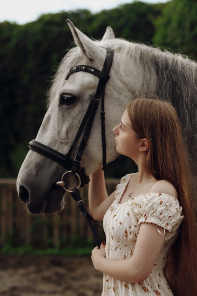 🐴КОННЫЕ ТРЕНИРОВКИ/ПРОГУЛКИ