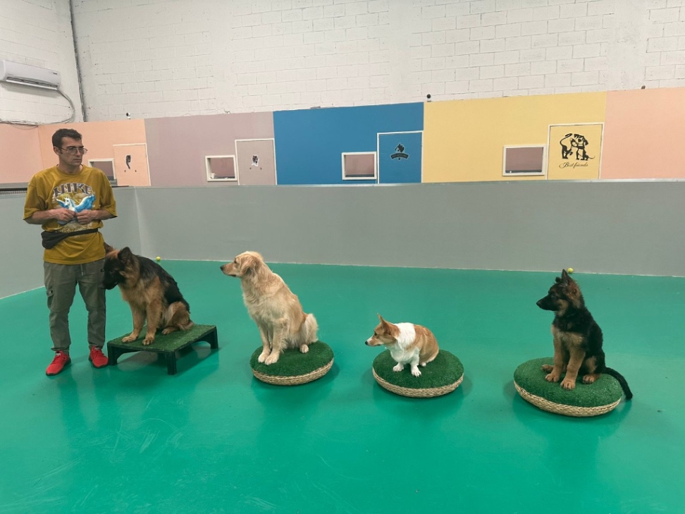 Отель для животных