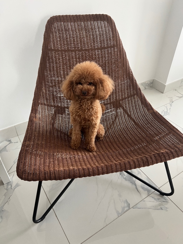 Кресло плетеное IKEA