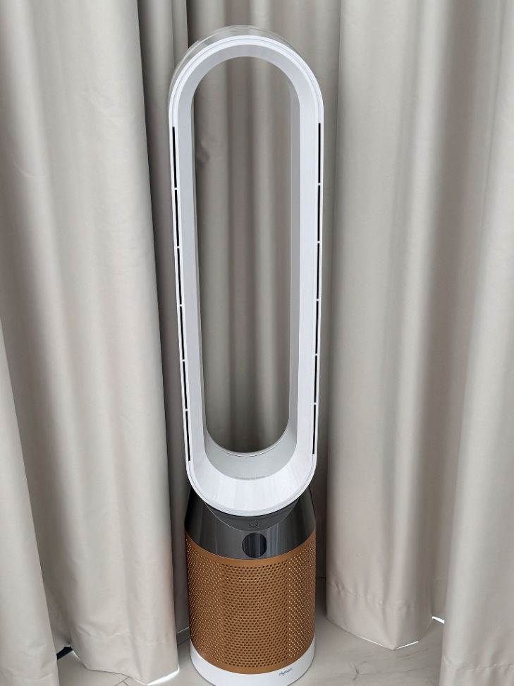 Dyson purifier cool